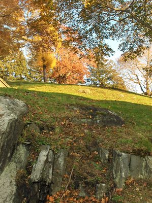 Product picture landscape